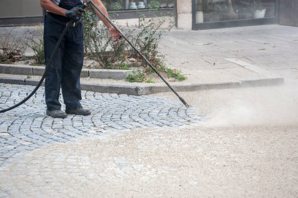 Best Driveway Pressure Washing  in Milroy, PA